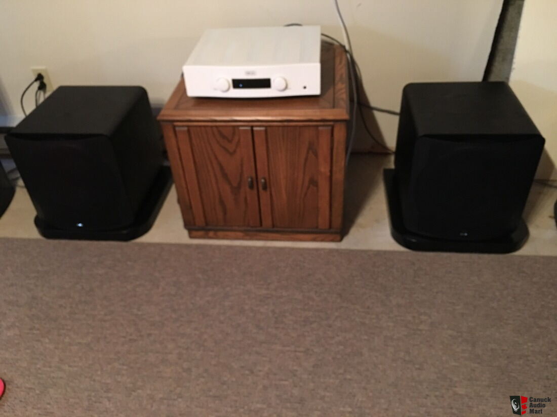 SVS SB3000 Subwoofer pair - will sell separately Photo #3554978