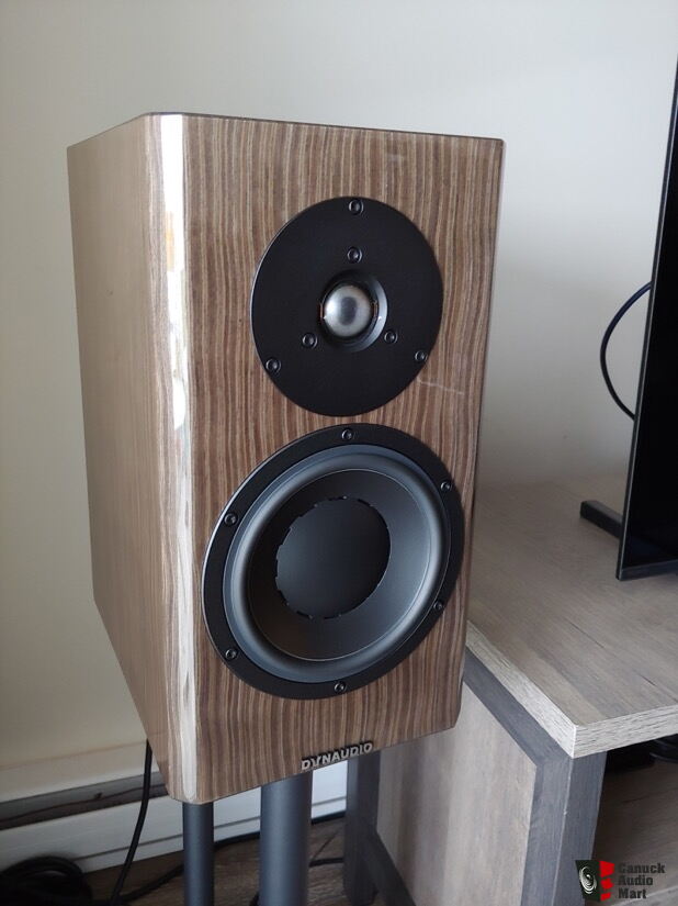 Dynaudio Special 40 Ebony Wave Photo 3614374 Canuck Audio Mart dynaudio-special-40-ebony-wave-photo-3614374-canuck-audio-mart