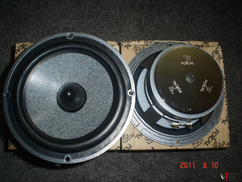 focal 6wm mid rare Photo #362063 