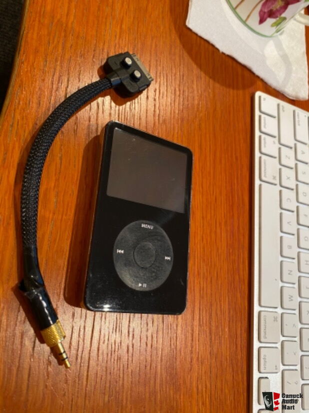 Apple Ipod Classic 80gb With Custom Audio Cable For Sale Canuck Audio Mart