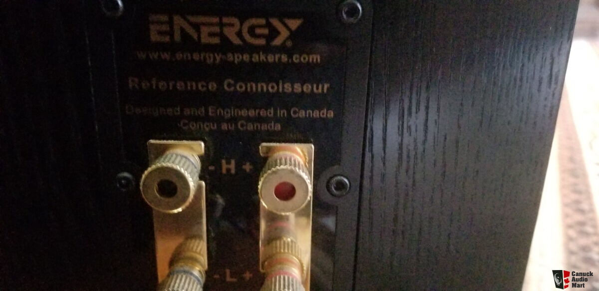 Energy RC70 in black ash Photo 3648365 US Audio Mart