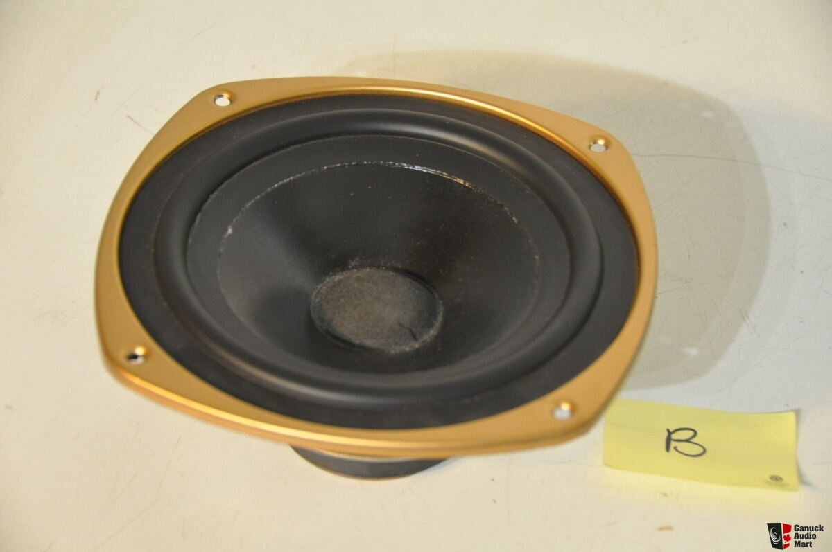 Tannoy NOS Replacement Speakers - T110
