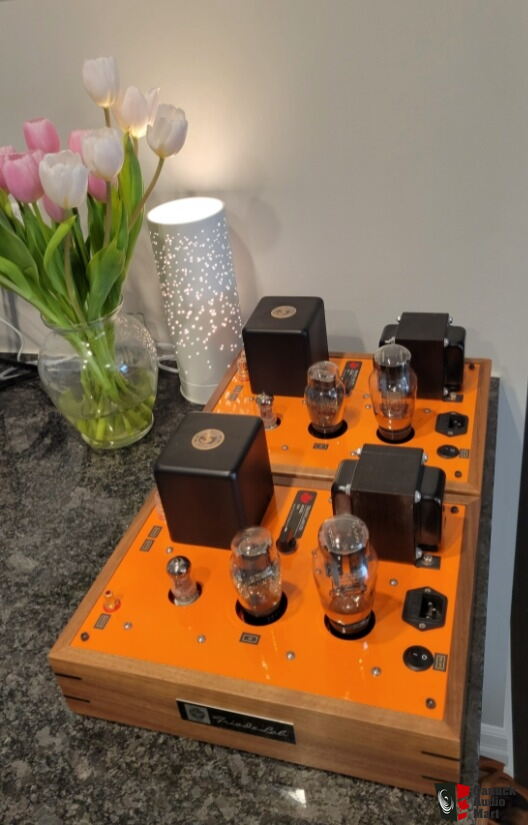 Triode Lab 45M Monoblocks Photo #3742220 - UK Audio Mart