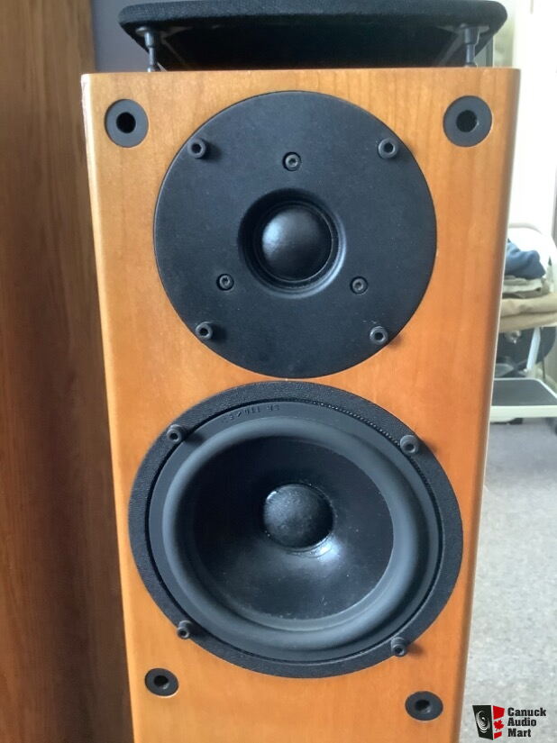 PMC GB1 Speakers Photo #3795804 - US Audio Mart