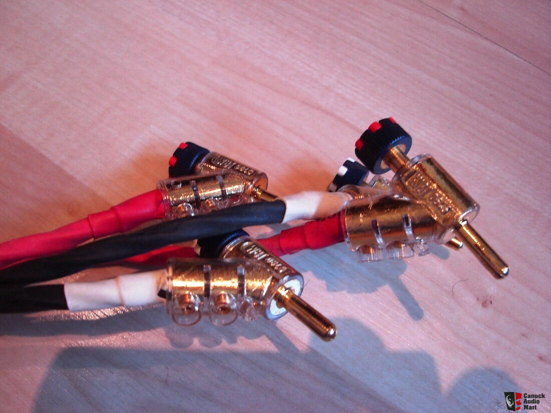 Paire De Câbles Enceintes CARDAS AUDIO HEXLINK Golden Série 5 (2.44m) – Fiches RCA Mâle / Fourche Et Banane