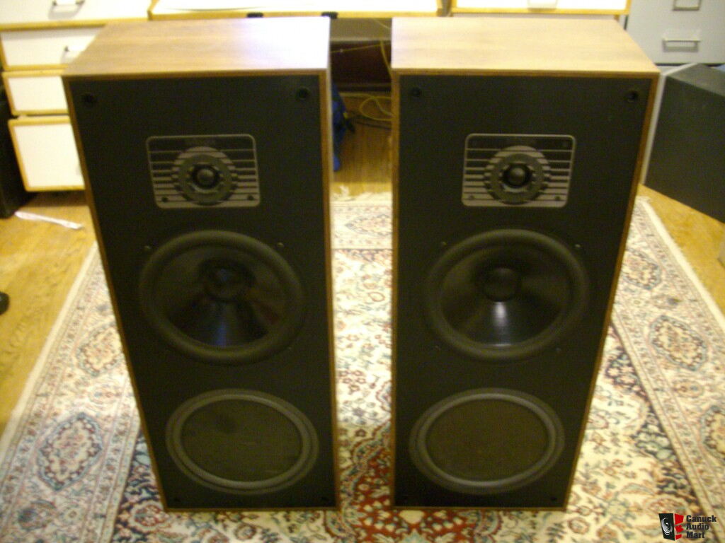 Vintage Mirage 650 Tower Speakers Photo #397132 - Canuck Audio Mart