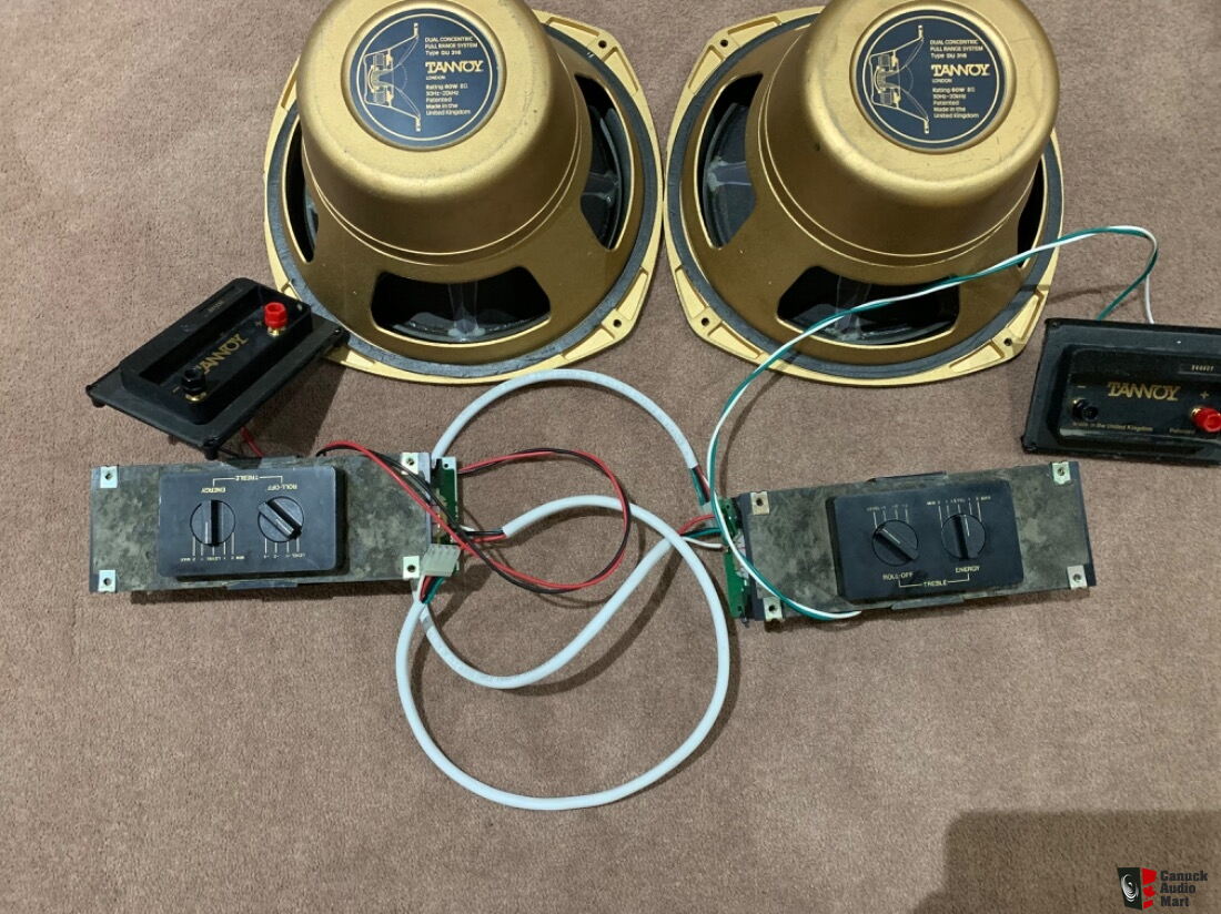 Tannoy DC Dual Concentric DU 316 Pair Plus Crossovers Photo 3991872 tannoy-dc-dual-concentric-du-316-pair-plus-crossovers-photo-3991872