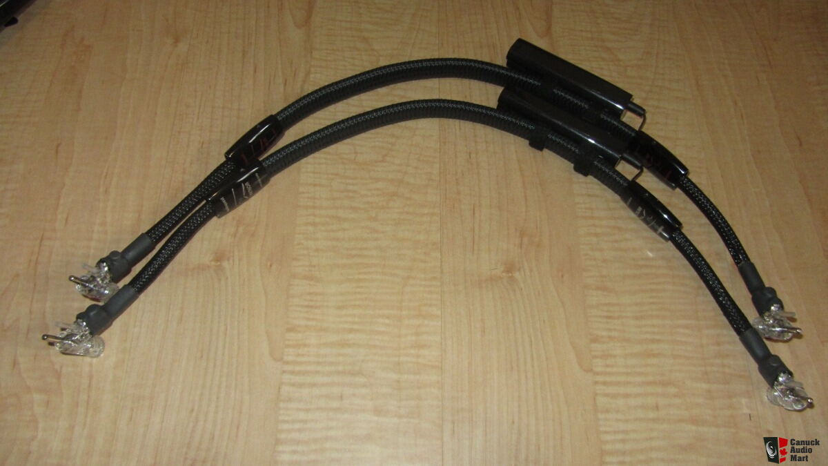 Audioquest Meteor speaker/amp/jumper cables For Sale Canuck Audio Mart