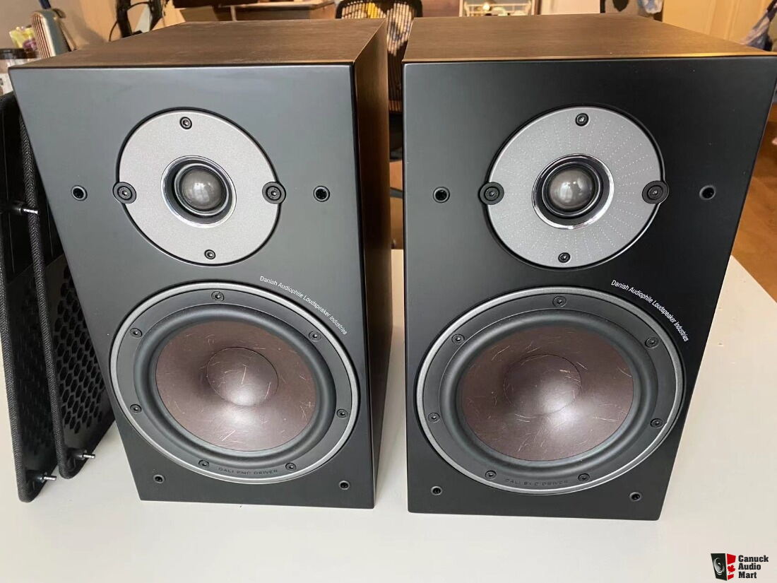 DALI OBERON 3 bookshelf speakers walnut | sale pending Photo #4157469 ...