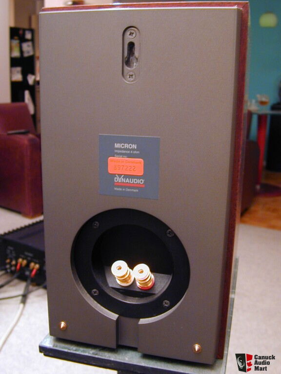 dynaudio micron