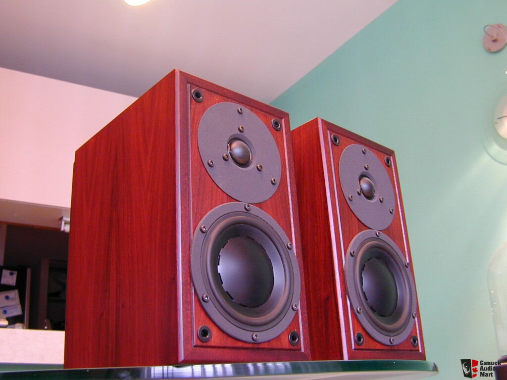 dynaudio micron