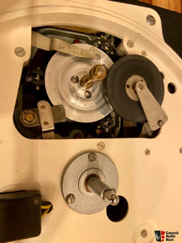 HPS Performance 45 Degree -6 AN Flare to 3/8