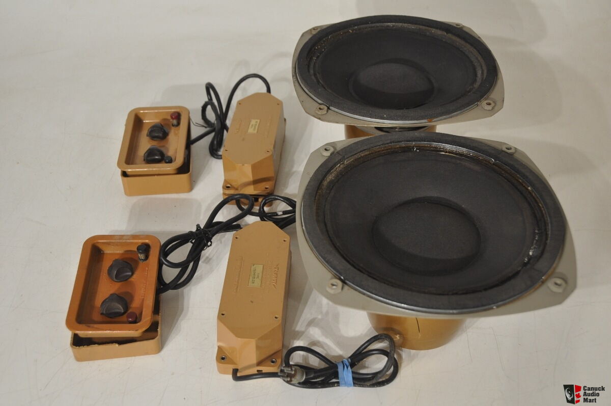 Classic Tannoy MONITOR GOLD DC 10