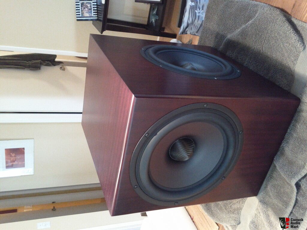 Totem Thunder Subwoofer Photo #424643 