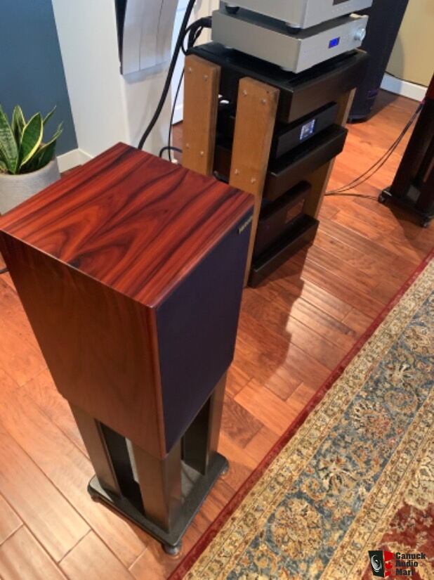 Harbeth 30.1 in Rosewood with Skylan stands Photo 4319944 US