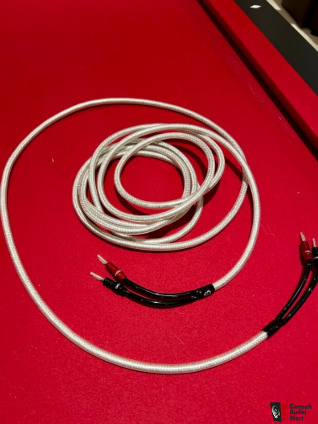 ShawlineX - Cavo per altoparlanti, 3 m, terminato in fabbrica con