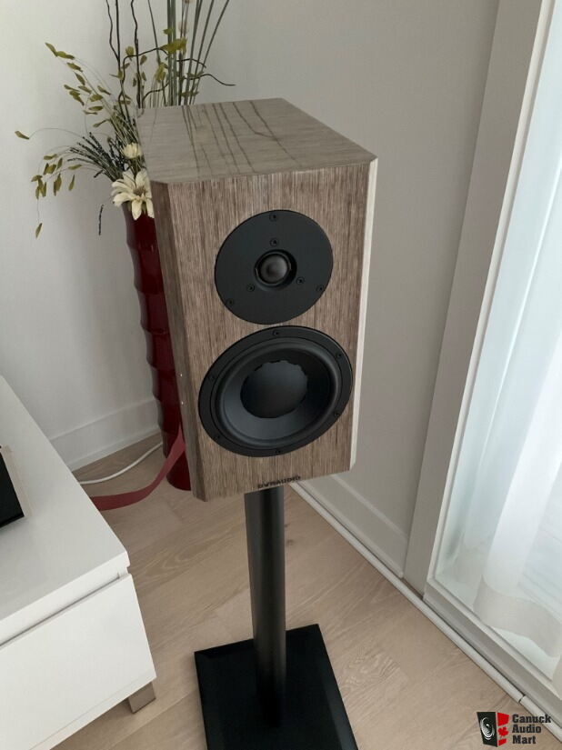 Dynaudio Special Forty Occasion