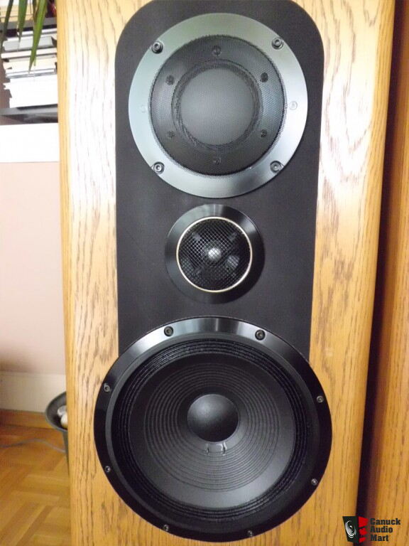 Pioneer Elite TZ-9 REFERENCE SPEAKERS FOR SALE Photo #445360 - US Audio ...