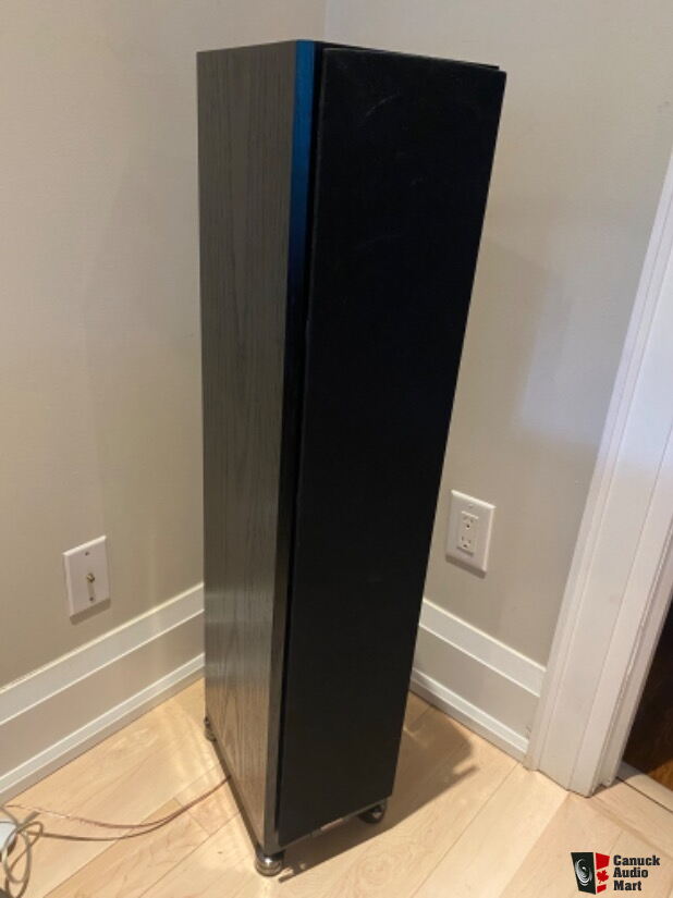 Dynaudio Focus 220 Mkii For Sale - Canuck Audio Mart