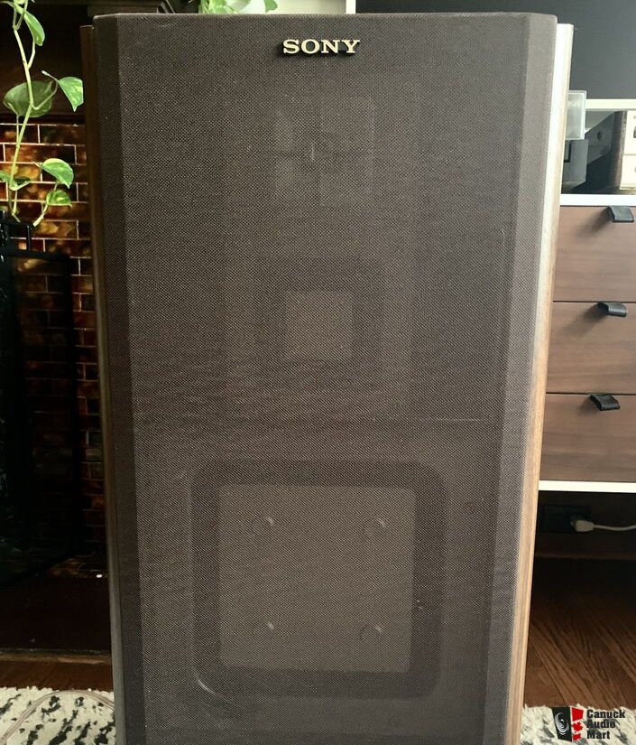 Sony APM-66ES Speaker System For Sale - Canuck Audio Mart