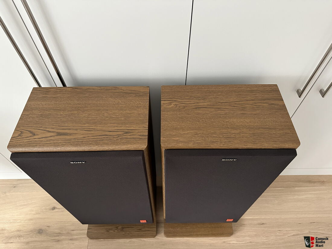 Sony APM 615 Floor Standing Speakers Oak Colour Veneer Beautiful