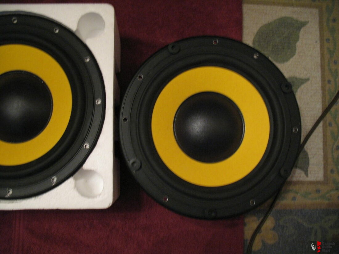 Hi-Vi Research Tweeter RT2 Pro - Paire de tweeter For Sale - Canuck
