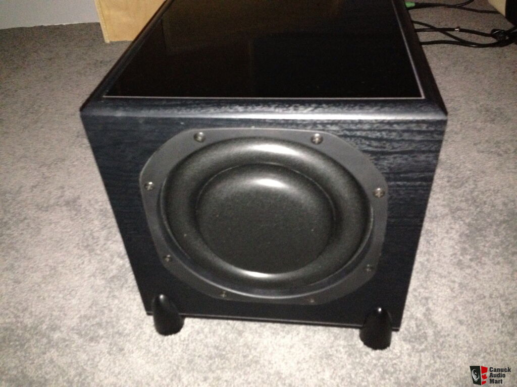 paradigm reference subwoofer