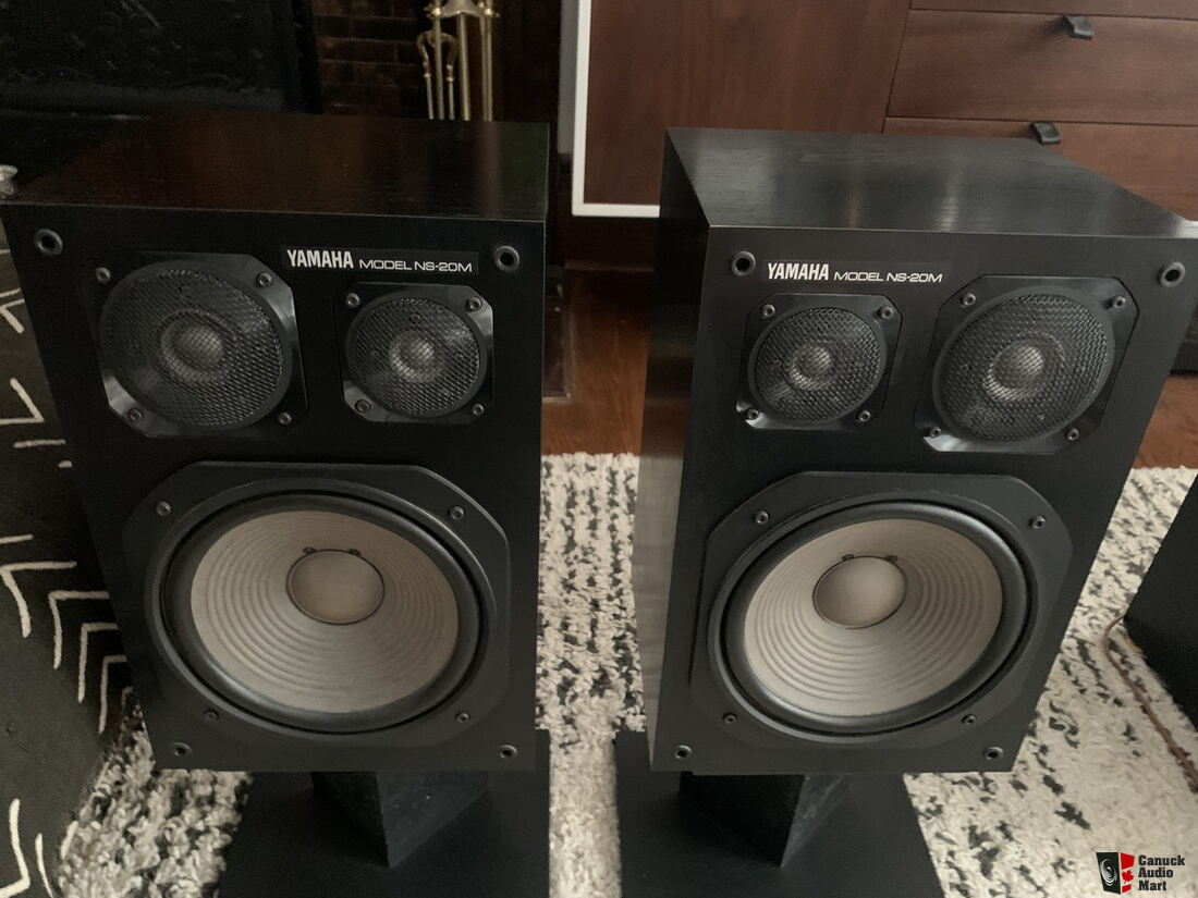 Yamaha NS-20M with 23