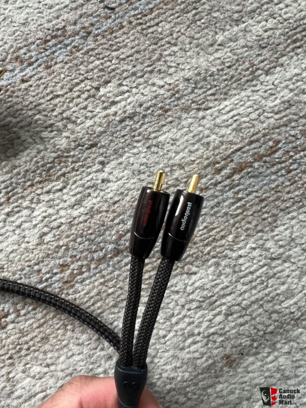 Cavo di segnale analogico Audioquest Big Sur 5 Pin DIN a 2 RCA