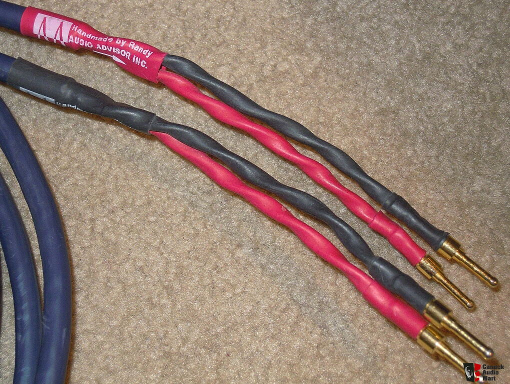Audioquest Dragon HDMI 48 - CÂBLES HDMI – Électronique