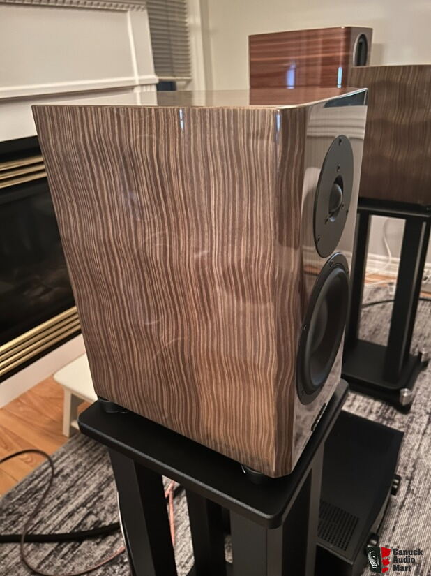Dynaudio Special Forty Occasion