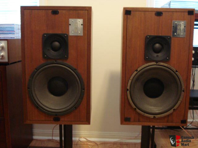 infinity quantum jr speakers