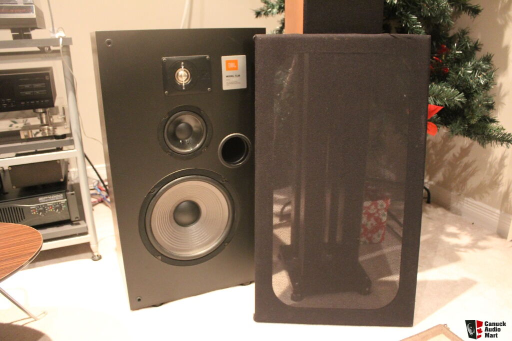 Personificación frente operador JBL TLX-8 Speakers-price updated Photo #592951 - US Audio Mart