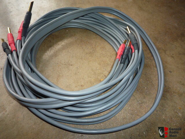 Linn K20 Speaker Cable 2 x12+ foot pair. Awesome Quality Speaker