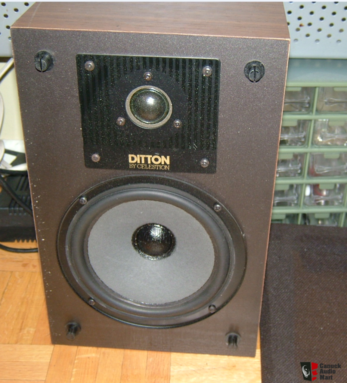 celestion ditton 100