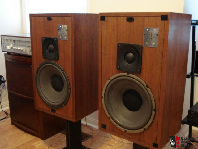 infinity quantum jr speakers