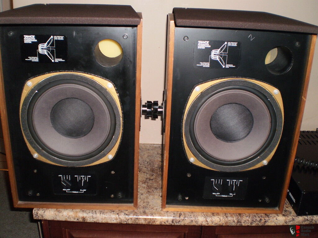 tannoy 295a