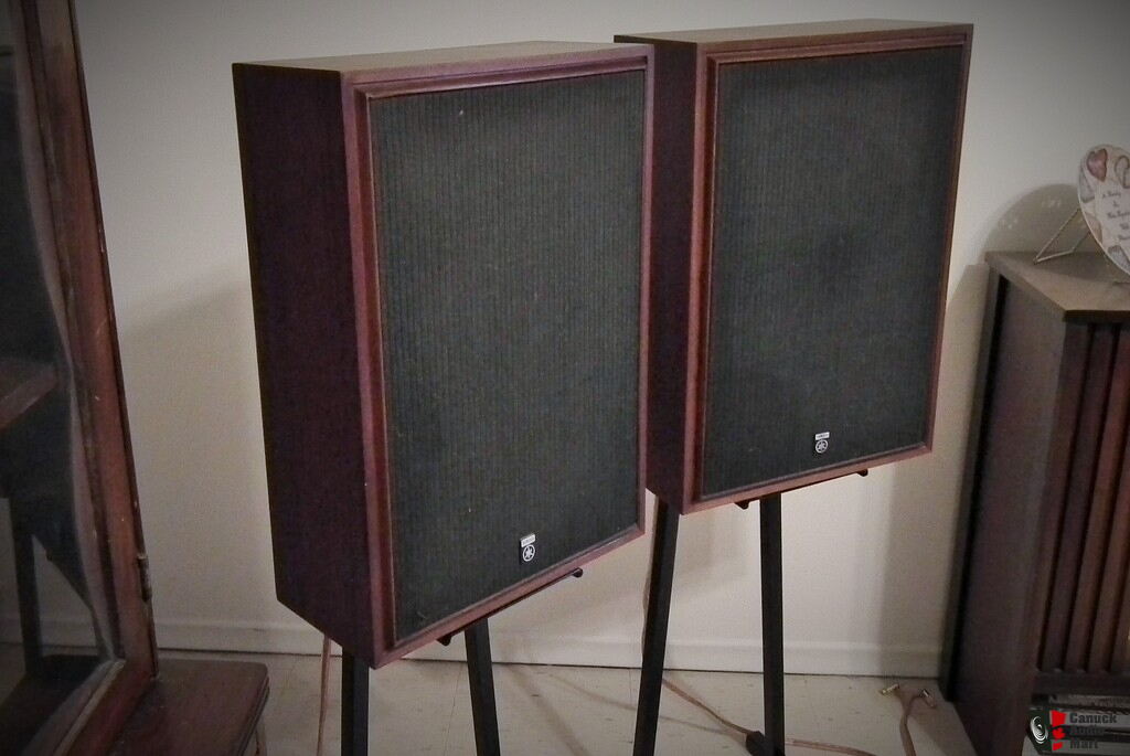 4x10 dual speaker