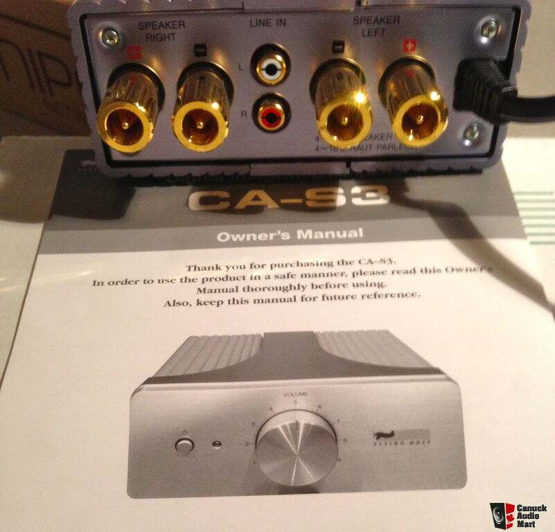 Flying Mole CA-S3 Integrated Amplifier Photo #817564 - US Audio Mart