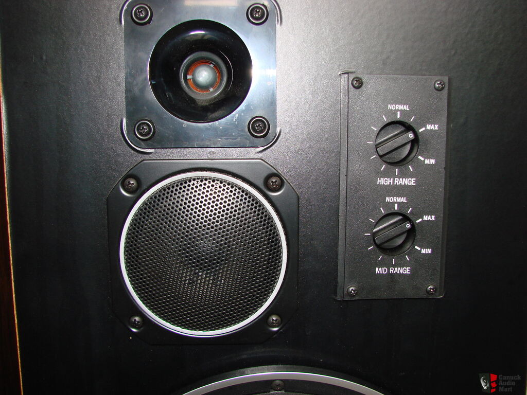 vivid thunder speakers