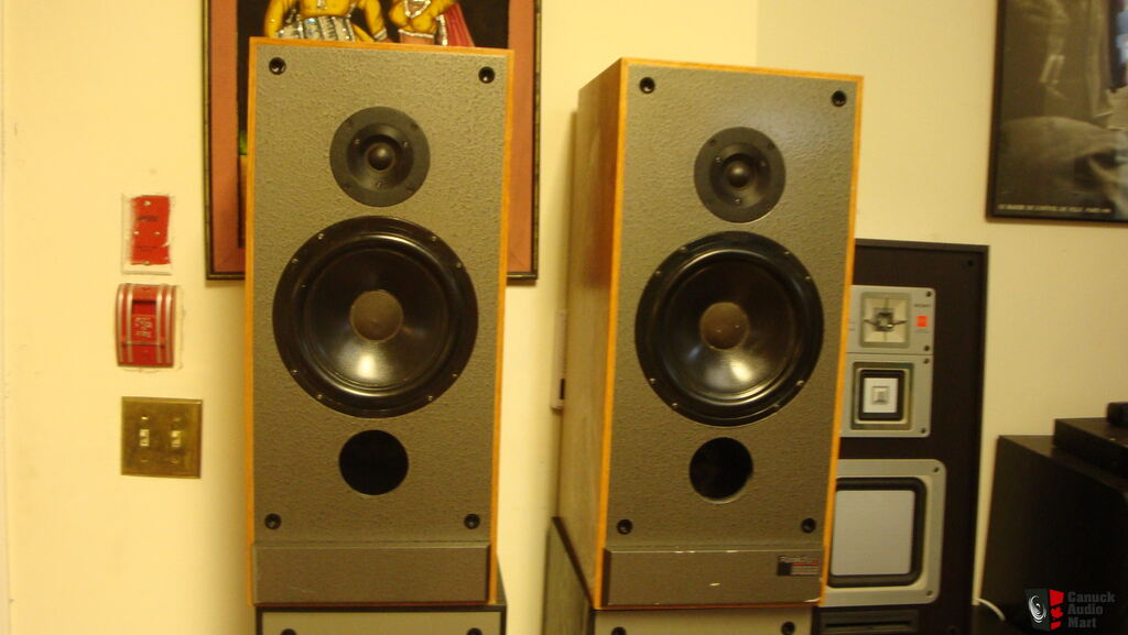 paradigm export monitor speakers