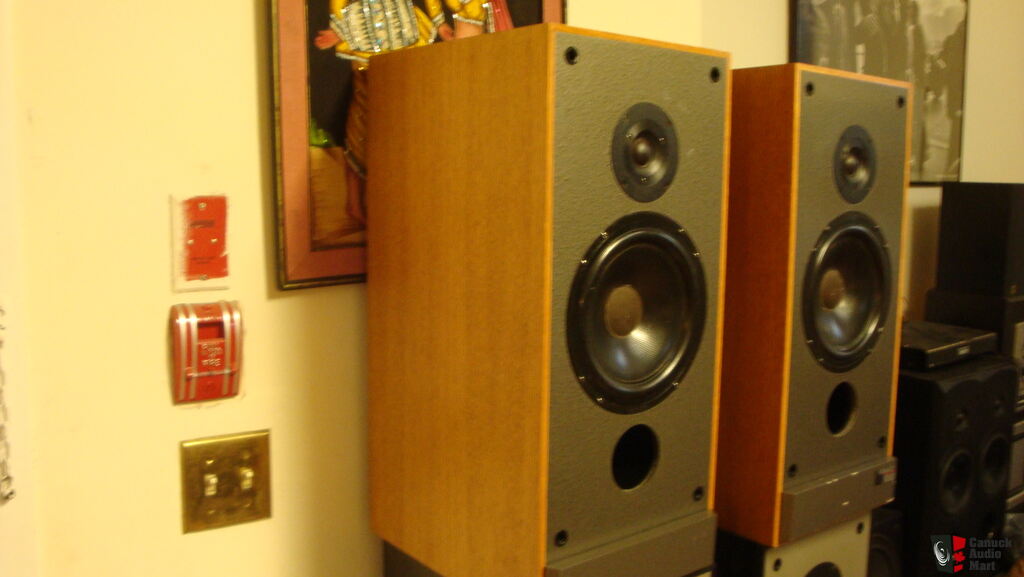 paradigm export monitor speakers