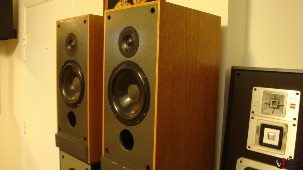 paradigm export monitor speakers