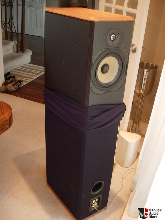 paradigm bipolar speakers