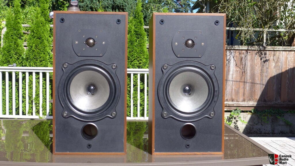 bowers and wilkins dm10