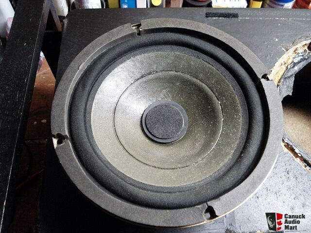 qysonic 8