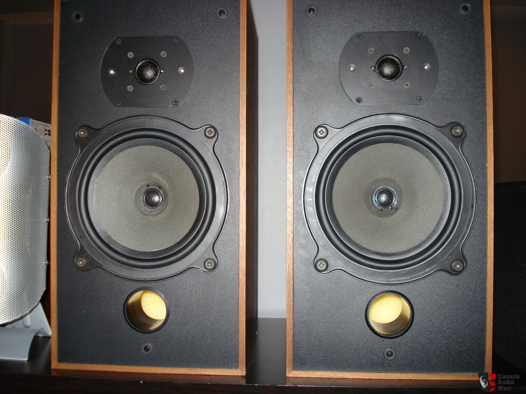 bowers and wilkins dm10