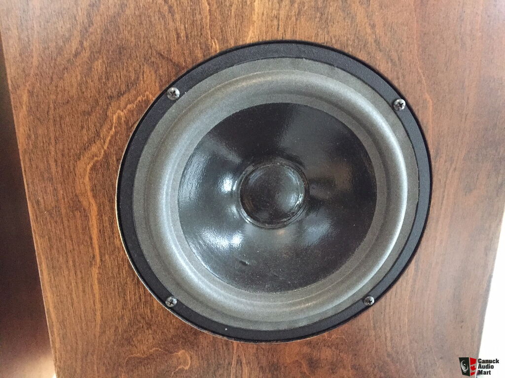 Snell JII speakers - precursor to Audio Note AN-J Photo #934469 - US ...